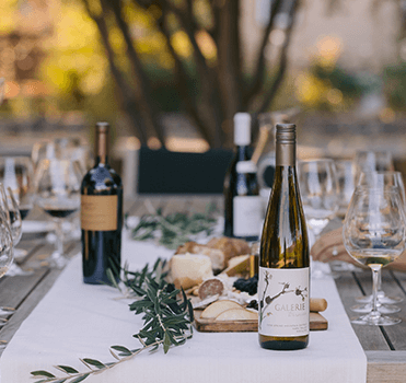 Summit to Sea Mixed Collection Wines