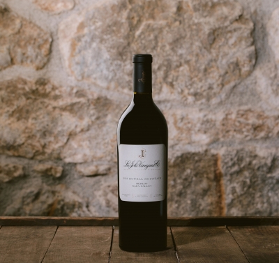 Single bottle of red wine against a stone background