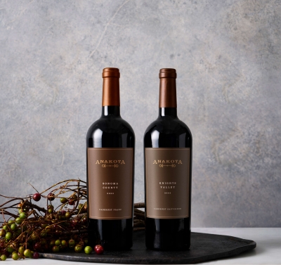 Two bottles of wine against a slate gray background