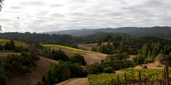Anderson Valley