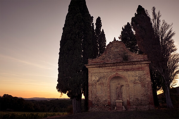 Tenuta di Arceno statue with trees against a sunset